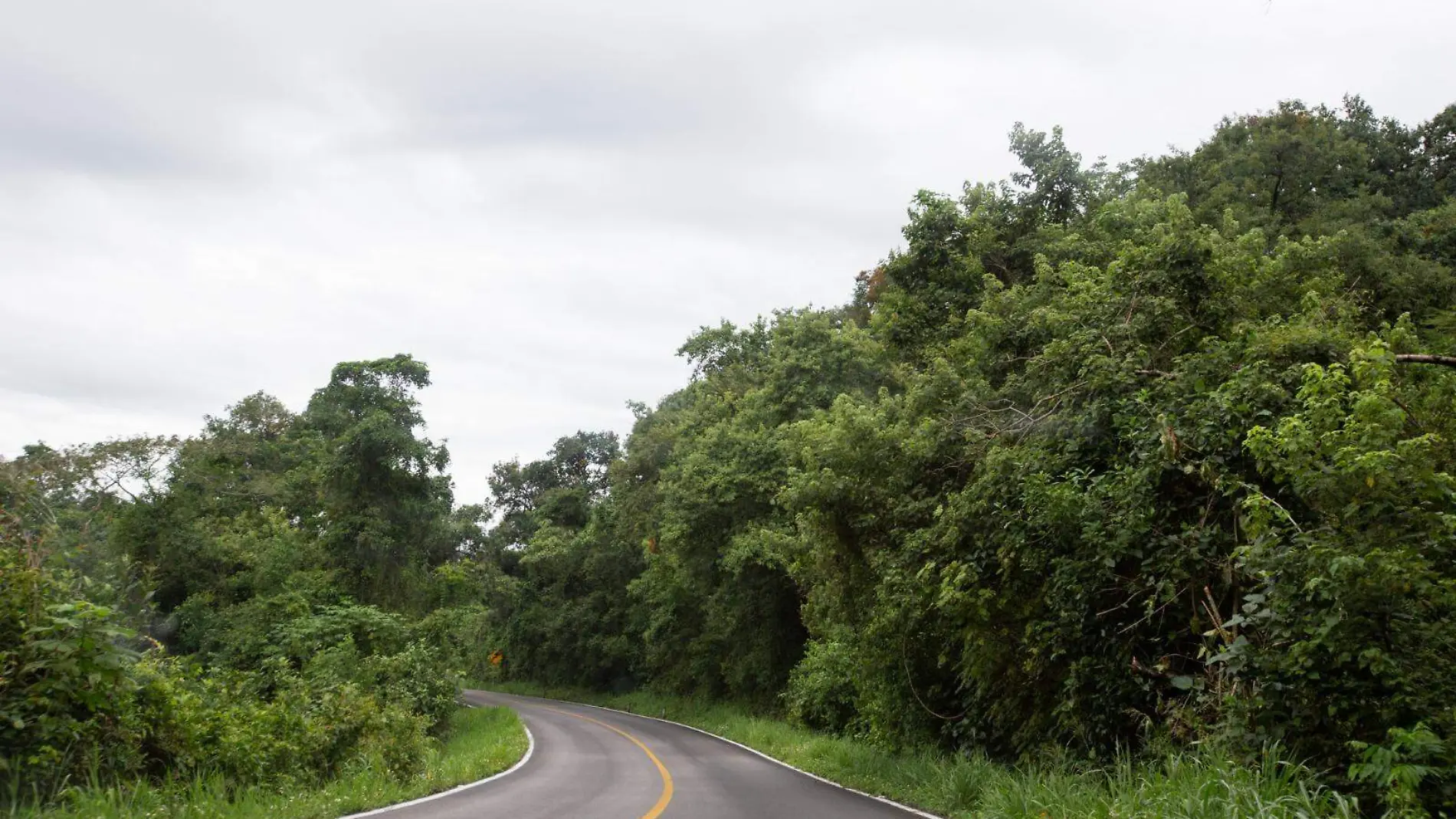 carreteras peligrosas en SLP 2